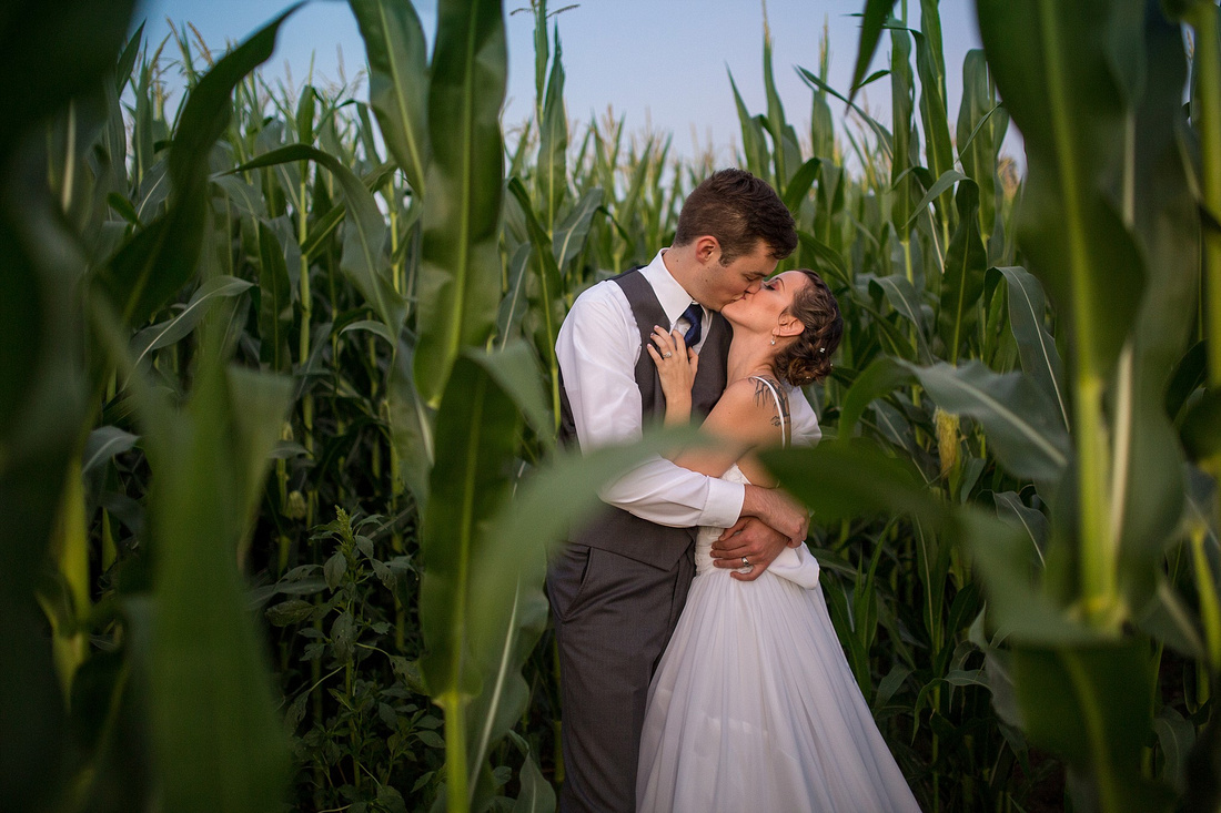 Wedding in Corn Fields